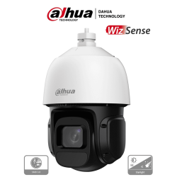 DAHUA SD3D216NB-GNY - Camara IP PTZ de 2 Megapixeles/ WizSense/ 16x de Zoom Optico/ 80 Metros de IR/ Detección de Vehiculos y...
