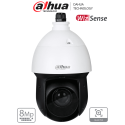 DAHUA SD49825GB-HNR - Cámara IP PTZ de 8 MP / WizSense/ 25x de Zoom óptico/ IR de 100 m/ H.265+/ WDR Real de 120 dB/ Protecci...