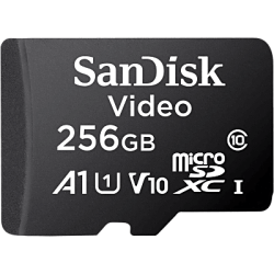 Memoria microSD SanDisk 256GB / Alta Resistencia / Videovigilancia / Clase 10